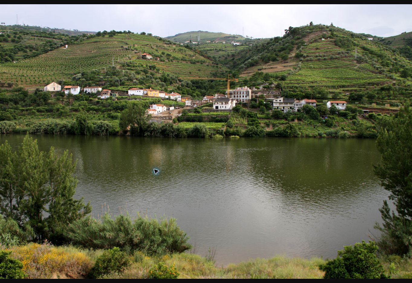 Douro Valley vineyards and river landscape
